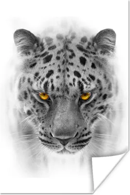 Produktbild von MuchoWow® Poster Leopard - Schwarz - Weiß - Tier 120x180 cm - Kunstposter