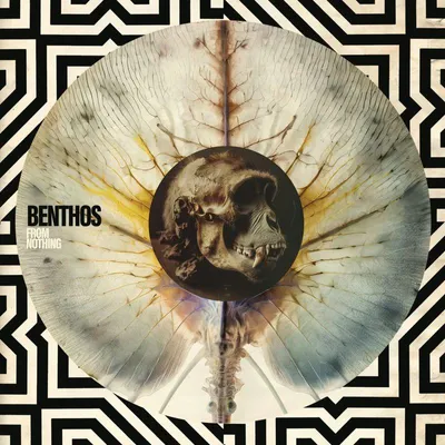 Obrázek produktu pro Benthos: From Nothing (180g) (Limited Edition) (Clear/Black Marbled Vinyl)