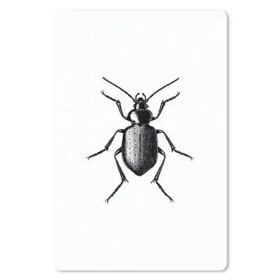 Produktbild von MuchoWow® Mauspad Mousepad Käfer - Tiere - Vintage - Schwarz und weiß 18x27 cm - Mousepads - Maus Mat - Pad - Mausunterlage