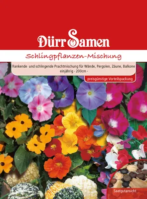 Produktbild von Schlingpflanze Mischung | Schlingpflanzensamen von Dürr Samen