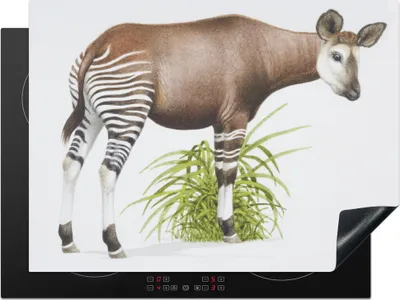 Produktbild von KitchenYeah© Herdabdeckplatte Illustration eines Okapis , 71x52cm, Küche Deko, Glaskeramikkochfeld Herdabdeckung, Abdeckplatte fùr Kochfeld