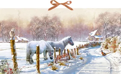 Produktbild von Wand-Adventskalender - Winterponys