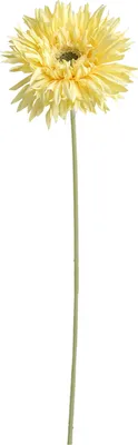 Produktbild von Dekorative Gerbera-künstliche Blumen nicht verblüffende realistische Blumenarrangementssimulation Gerbera Wohnkultur-Gelb