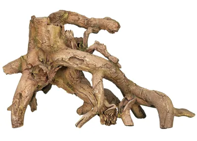 Image de Décoration Nobby Aquarium Mangrove XXL