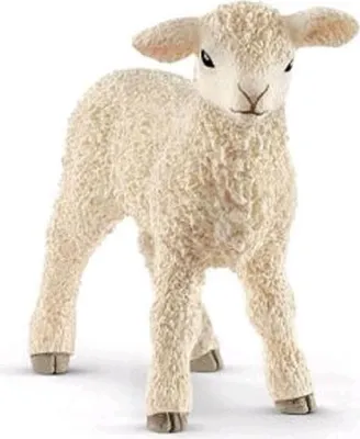 Produktbild von Schleich 13883 - Farm World - Lamm (17069)