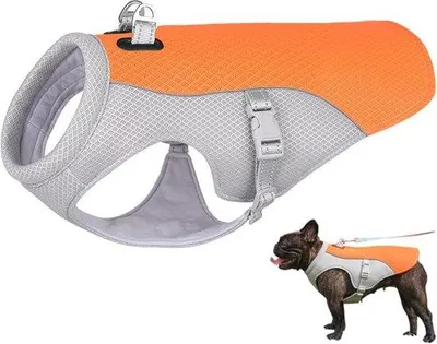 Produktbild von Sommerliche Kühlwesten für Hunde, Kühljacken für Hunde, Kühlwesten für Hunde beim Spaziergang, Kühlwesten/Jacken für Hunde (XXL, orange)
