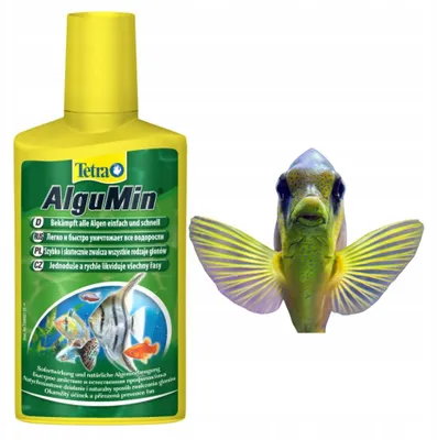 Produktbild von Algenmittel Tetra Schnellwirksam Pflanzensicher 500 ml