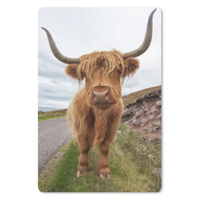 Produktbild von MuchoWow® Mauspad Mousepad Schottischer Highlander - Hörner - Berg 18x27 cm - Mousepads - Maus Mat - Pad - Mausunterlage