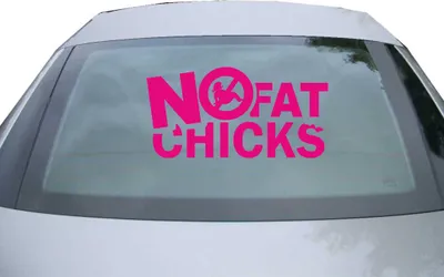 Produktbild von Indigos UG - Aufkleber Heckscheibe & Motorklappe DE2017 - pink - 600x302 mm - NO FAT CHICKS - Auto Scheiben Fenster Heckklappe Tuning Racing JDM - Die cut