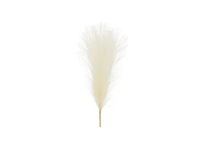 A single artificial pampas grass stem against a white background.
