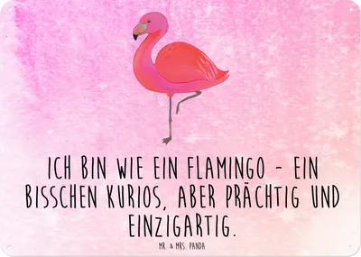 Produktbild von Mr. & Mrs. Panda Schild Flamingo Classic DIN A6 - Aquarell Pink - Geschenk, Retro Blechschild, Türschild, Ich, Rosa, tafel, Prächtig, Wandbild, Stolz, Spruch, Freundin