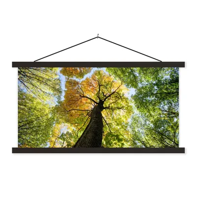 Produktbild von MuchoWow® Textilposter Baum - Natur - Wald 120x60 cm mit schwarzem Rahmen - Dekoration Schlafzimmer