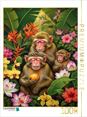 Produktbild von CALVENDO Puzzle Rhesusaffen zwischen Blüten | 1000 Teile Lege-Größe 64x48cm Foto-Puzzle für glückliche Stunden