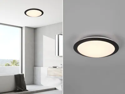 Produktbild von TRIO LED-Deckenleuchte LB25 3000K 1160lm IP44 schwarz