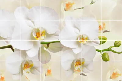 Produktbild von Fliesenaufkleber 15x15 cm – 24 Stück – Selbstklebend – Wasserfest – Pflegeleicht – Hitzebeständig – Für Küche & Bad – Florale Orchideenmotive