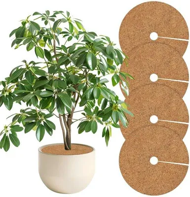 Image de Tapis en fibre de coco (lot de 4), disque de paillis en fibre de coco Ø 60 cm, tapis de protection hivernale pour plantes, film anti-mauvaises herbes