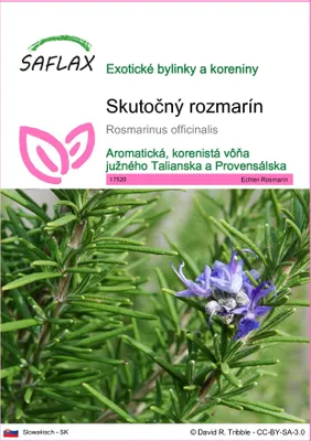 Obrázok produktu pre SAFLAX - Skutočný rozmarín - Rosmarinus officinalis - 100 Semená