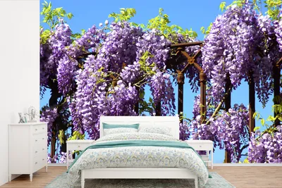 Produktbild von MuchoWow® Fototapete für Wohnzimmer oder Schlafzimmer Wandtapete Vinyl Motivtapete Blauer Regen mit blauem Himmel - 360x240 cm - Vinyl-Tapete