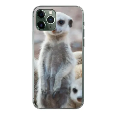 Produktbild von MuchoWow® Handyhülle Schutzhülle Hülle für iPhone 11 Pro Neugierige Erdmännchen Silikon Softcase Handy Hülle - Handy