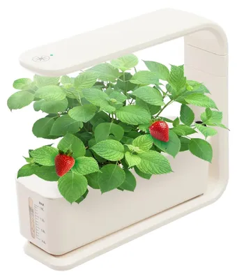 Zdjęcie produktu dla Doniczka hydroponiczna, system do uprawy w pomieszczeniach, wydajne oświetlenie, BIAŁY