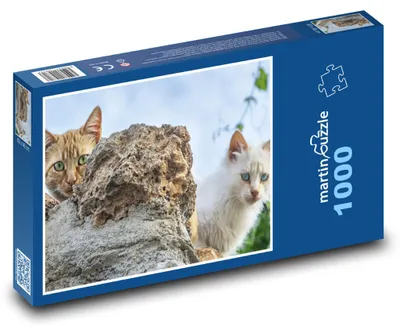 Obrázok produktu pre Puzzle 1000 Číhajúce mačky medzi kameňmi - martinpuzzle