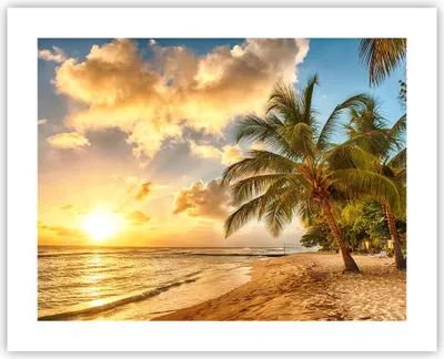 Produktbild von Poster - Poster ohne Rahmen - Strand Meer Palme - 50x40 cm - Wand Bild - Wanddeko - Wandbilder - Kunstposter - Wandposter - Bilder - Kunstdruck - Wanddekoration - Wandbild - P2XAA50x40-3606