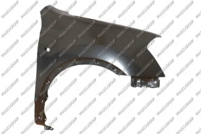 Produktbild von PRASCO DS7103013 Kotflügel Vorne Rechts für NISSAN Qashqai / Qashqai +2 I (J10, NJ10)