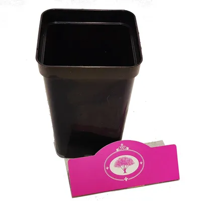 Produktbild von Grow Pot High P9 - 9x9x14cm, 0,8 Liter - 25 Stk