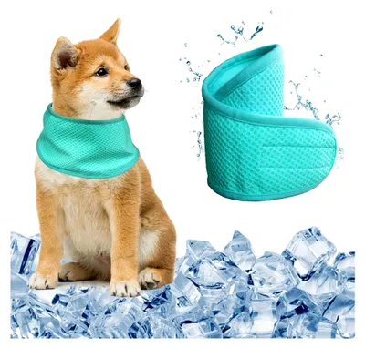 Produktbild von Kühltuch für Hunde, kühlendes Halstuch, atmungsaktives Hundehalstuch für Sommeraktivitäten, M, Grün