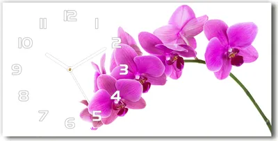 Produktbild von Wanduhr aus Glas – 60x30 cm - Glasbild - Glasuhr - Gehärtetes Glas - weisse-zeiger - rosa Orchidee