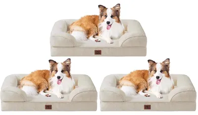 Immagine prodotto di Cuccia ortopedica per cani, taglia grande, 104x69 cm, beige, confezione da 3