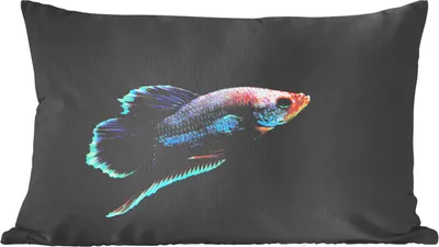 Produktbild von MuchoWow® Zierkissen Sofakissen Wohnzimmer Dekokissen 60x40 cm Fische - Tiere - Licht - Kopfkissen - Polster mit Foto