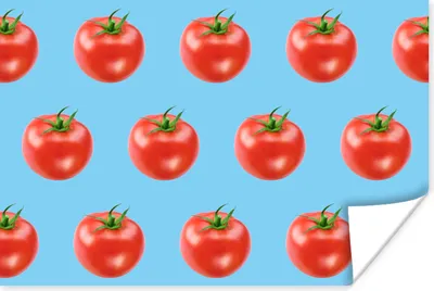 Produktbild von MuchoWow® Poster Tomaten - Gemüse - Blau 180x120 cm - Fotoplakat