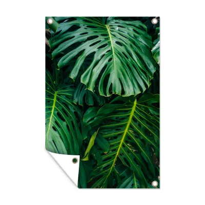 Obrázek produktu pro MuchoWow® Zahradní plakáty - Tmavě zelené botanické listy v zahradě - 120x80 cm - Zahradní dekorace