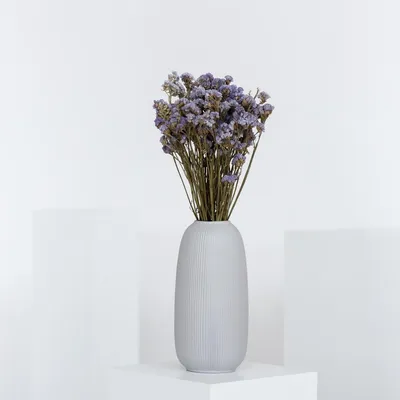 Zdjęcie produktu dla Limonium (Statice) – suszone kwiaty o wysokości 40–45 cm, prawdziwe kwiaty, trwałe
