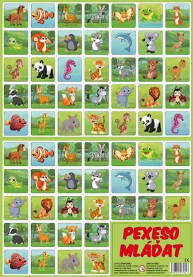 Produktbild von Pexeso Youngly