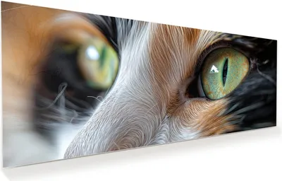 Produktbild von Glasbild 150x60cm in XXL für Wohnzimmer, Schlafzimmer Motiv Katzenaugen