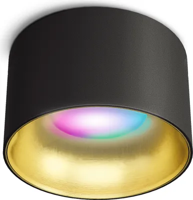 Produktbild von SSC-LUXon Design Deckenspot BAHIO Strahler Gold schwarz - Downlight mit WLAN Smart RGB CCT LED Licht kompatibel mit Alexa, Siri & Google