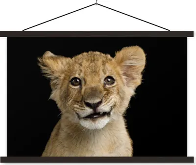 Produktbild von MuchoWow® Textilposter Jungtier - Porträt - Farben 90x60 cm mit schwarzem Rahmen - Aufhängungssatz