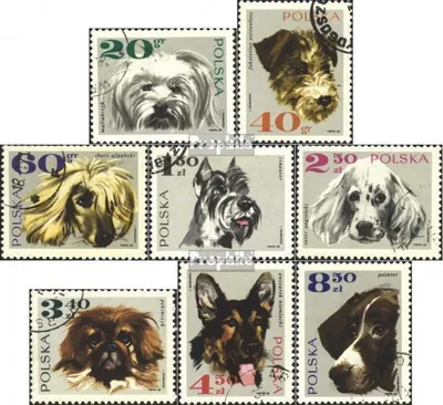 Produktbild von Briefmarken Polen 1969 Mi 1898-1905 (kompl.Ausgabe) gestempelt Rassehunde