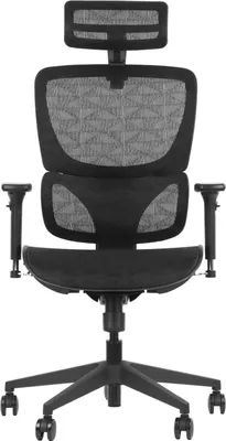 Produktbild von ErgoNew S1 ergonomischer Drehstuhl – 3D-Armlehnen und Kopfstütze, Nylonbasis