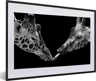 Produktbild von MuchoWow® Gerahmtes Poster Tiere - Schwarz - Giraffe - Weiß - Porträt 60x40 cm - Poster mit Schwarzem Bilderrahmen Wandposter Rahmen Foto Bilder - Schlafzimmer - Plakat in Rahmen - Drucken