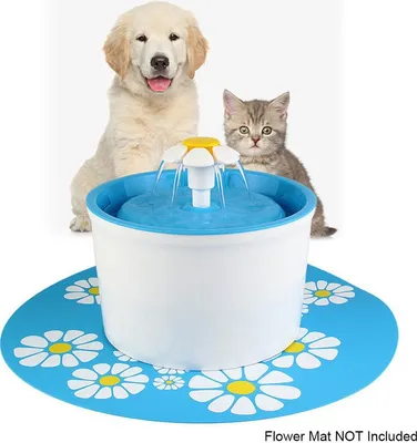 Image de 1.6L Fontaine d'eau pour animaux de compagnie chiens chats oiseaux - Bleu