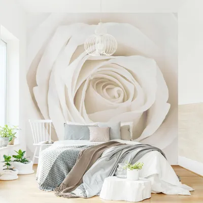Produktbild von Fototapete Blumen - Vliestapete - Bildtapete UV-beständig Rose beige Landhaus Wandtapete geruchsfrei