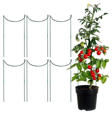 Produktbild von Pflanzenhalter, 6 Stück Metall Rankhilfen Pflanzstützen für Tomatenkäfige | Rostbeständige Kletterpflanzenhalter aus Metall Gartenzubehör