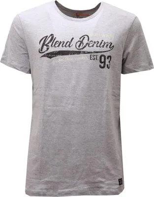 Productafbeelding van 6565AE heren T-shirt, grijs, katoen, met print