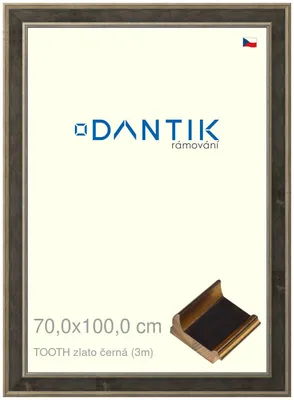 Obrázek produktu pro DANTIK rámeček 70x100 | TOOTH zlato černá (Plexi Čiré)