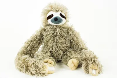 A plush sloth toy is shown sitting against a white background.