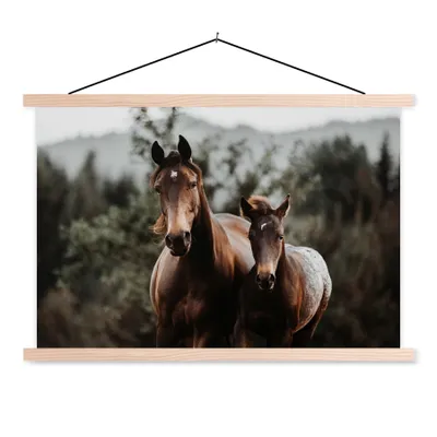 Produktbild von MuchoWow® Textilposter Pferd - Fohlen - Natur 60x40 cm mit holzfarbenen Rahmen - Bilder