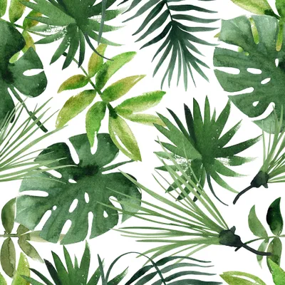 Produktbild von 20 Servietten Monstera - Mischung aus Palmenblätter 33x33cm